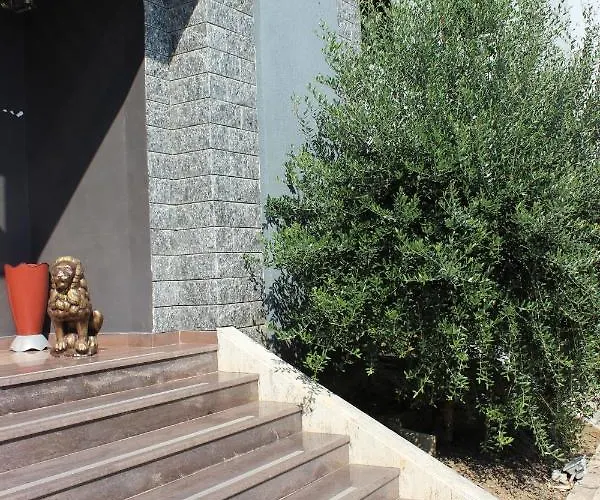 Luander 酒店 地拉那